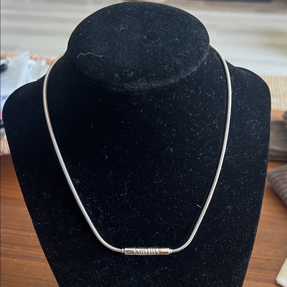their rounded bar Elegant Silver Necklace